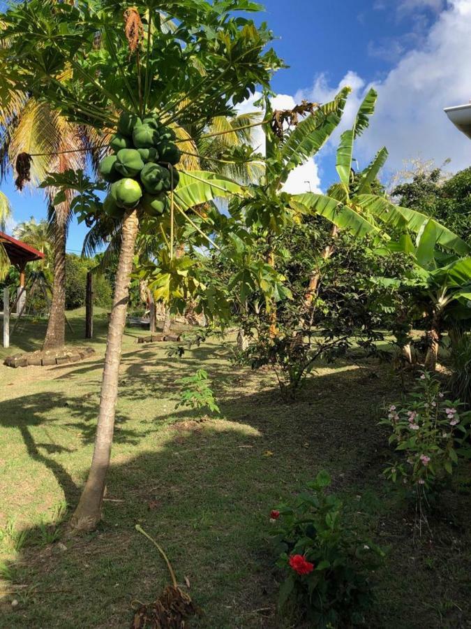 Ferienwohnung La Tourterelle De Neron Le Moule Exterior foto